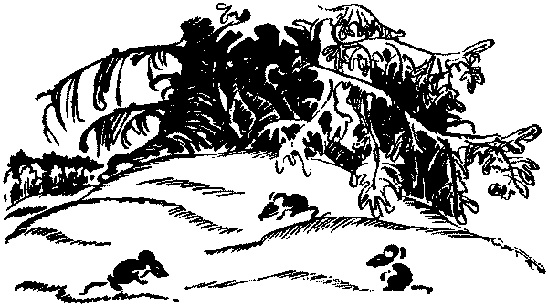 Лесная быль. Рассказы и повести pic006.png