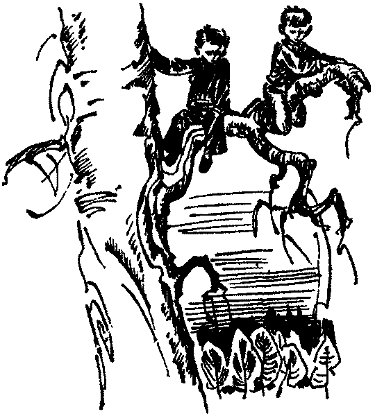 Лесная быль. Рассказы и повести pic045.png