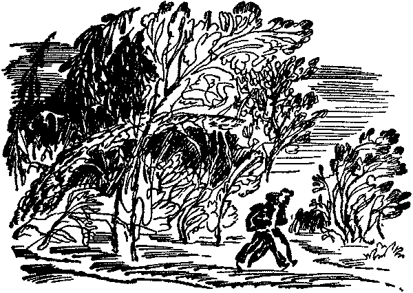 Лесная быль. Рассказы и повести pic049.png