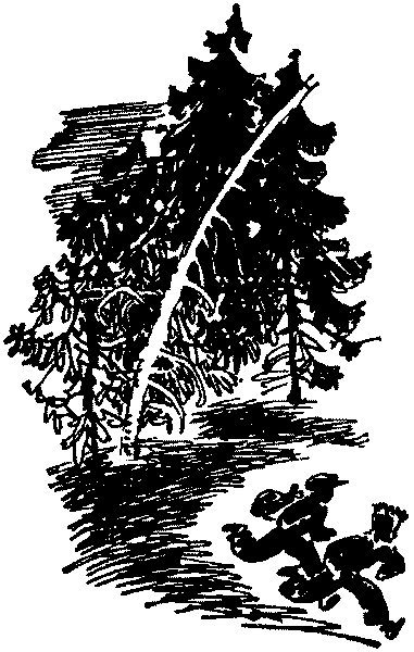 Лесная быль. Рассказы и повести pic050.png