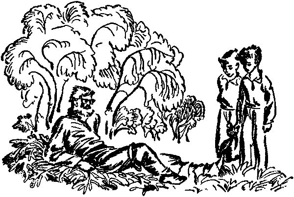 Лесная быль. Рассказы и повести pic051.png