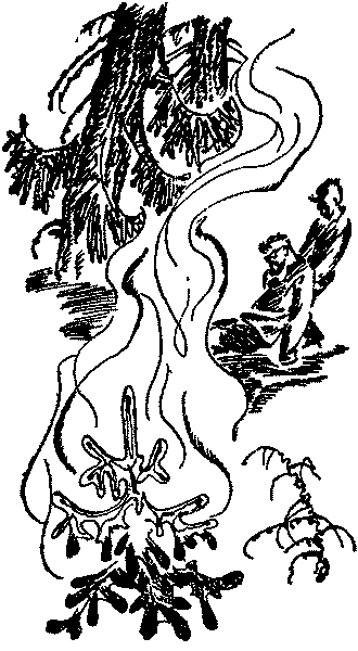 Лесная быль. Рассказы и повести pic053.png