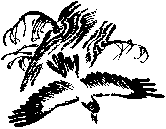 Лесная быль. Рассказы и повести pic008.png