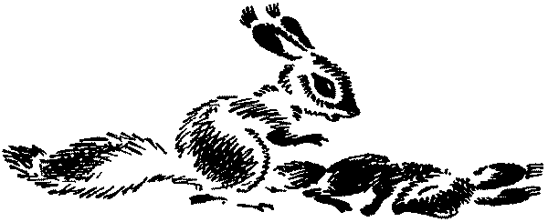 Лесная быль. Рассказы и повести pic009.png