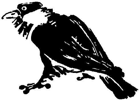 Лесная быль. Рассказы и повести pic010.png