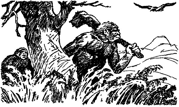 Рам и Гау pic001.png