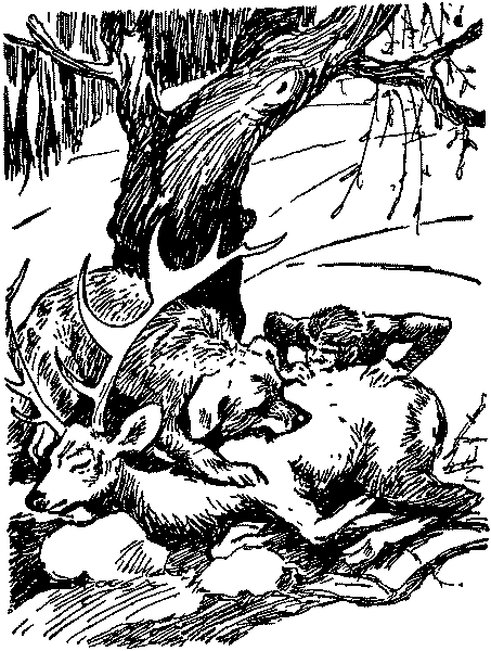 Рам и Гау pic003.png