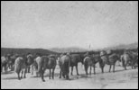 В неизведанные края. Путешествия на Север 1917 – 1930 г.г. pic_24.jpg