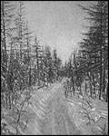 В неизведанные края. Путешествия на Север 1917 – 1930 г.г. pic_37.jpg