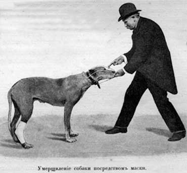 Наши домашнiя животныя. Собаки i_103.jpg