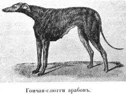 Наши домашнiя животныя. Собаки i_008.jpg