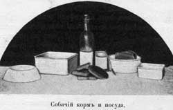 Наши домашнiя животныя. Собаки i_038.jpg