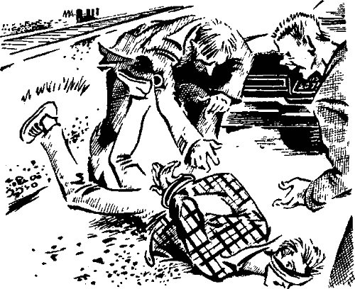 Тайна «Серебряной звезды» i_007.png