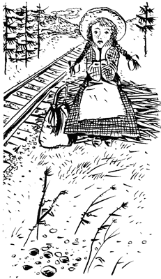 История Энн Ширли. Книга 1 i_004.png