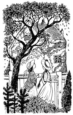 История Энн Ширли. Книга 1 i_014.png