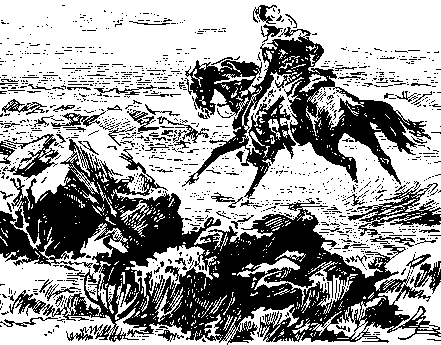 Твердая рука. Гамбусино i_003.png