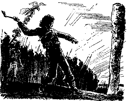 Твердая рука. Гамбусино i_017.png
