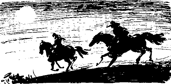 Твердая рука. Гамбусино i_019.png