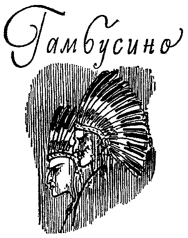 Твердая рука. Гамбусино i_027.png