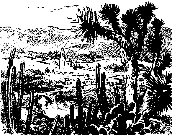 Твердая рука. Гамбусино i_028.png
