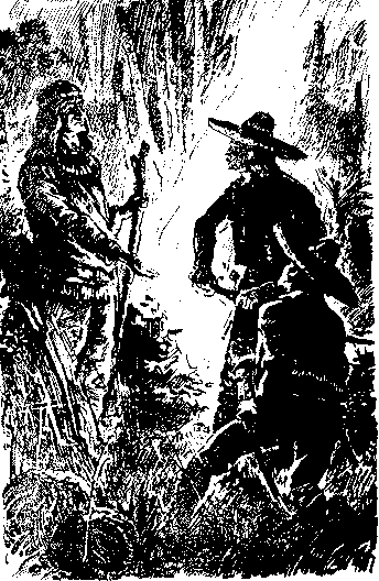 Твердая рука. Гамбусино i_033.png