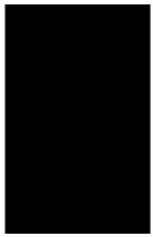 Black_1.jpeg