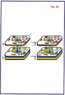 Последнее обращение к человечеству _18.jpg