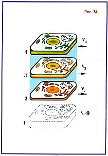 Последнее обращение к человечеству _34.jpg