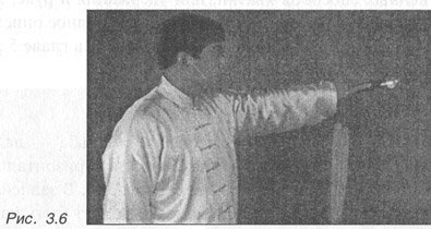 Китайское искусство владения мечом. Руководство по тай-цзи цзянь i_018.jpg