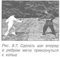 Китайское искусство владения мечом. Руководство по тай-цзи цзянь i_540.jpg