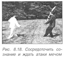 Китайское искусство владения мечом. Руководство по тай-цзи цзянь i_551.jpg