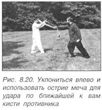 Китайское искусство владения мечом. Руководство по тай-цзи цзянь i_553.jpg