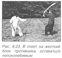 Китайское искусство владения мечом. Руководство по тай-цзи цзянь i_556.jpg