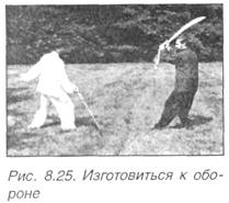 Китайское искусство владения мечом. Руководство по тай-цзи цзянь i_558.jpg