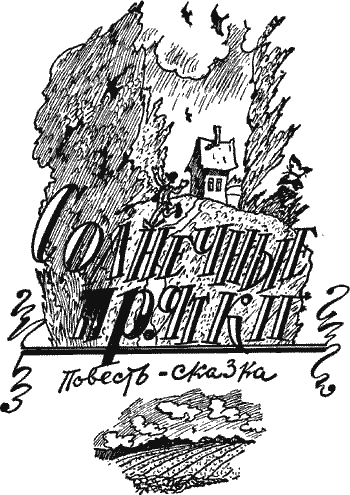 Солнечные прятки Solpr100.png