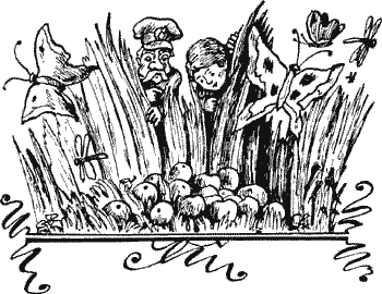 Солнечные прятки Solpr107.png