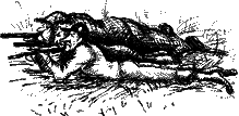 Потрясающий Мистер Лис ohotn.png