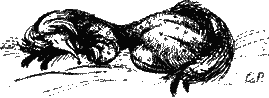 Потрясающий Мистер Лис lisa.png