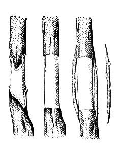 Большая Советская Энциклопедия (ПР) i009-001-203039574.jpg