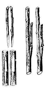 Большая Советская Энциклопедия (ПР) i010-001-254212307.jpg