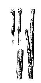 Большая Советская Энциклопедия (ПР) i010-001-262096189.jpg