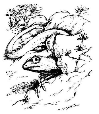 Большая Советская Энциклопедия (ПР) i009-001-224429136.jpg