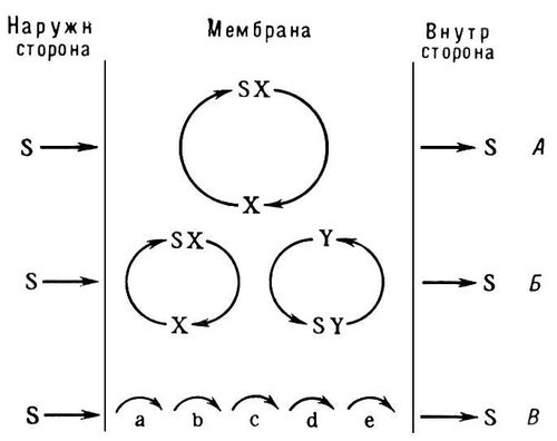 Большая Советская Энциклопедия (ПР) i010-001-275499587.jpg