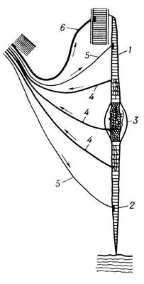 Большая Советская Энциклопедия (ПР) i010-001-270950466.jpg