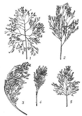 Большая Советская Энциклопедия (ПР) i009-001-231652511.jpg