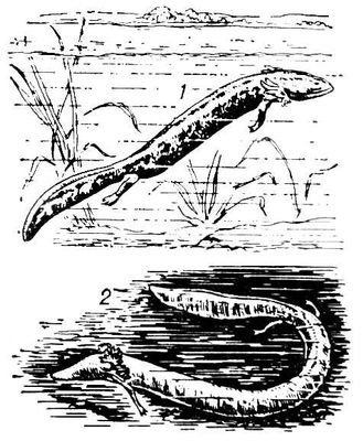 Большая Советская Энциклопедия (ПР) i009-001-208130248.jpg
