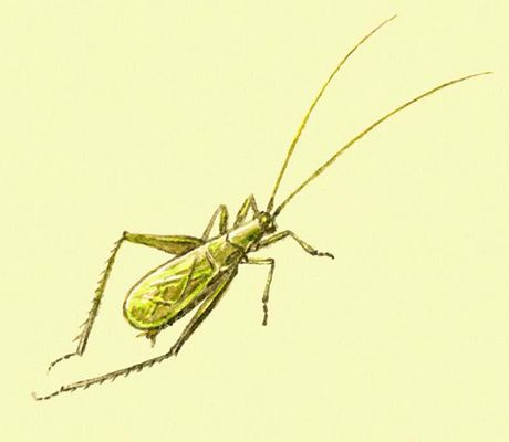 Большая Советская Энциклопедия (ПР) i010-001-283995415.jpg