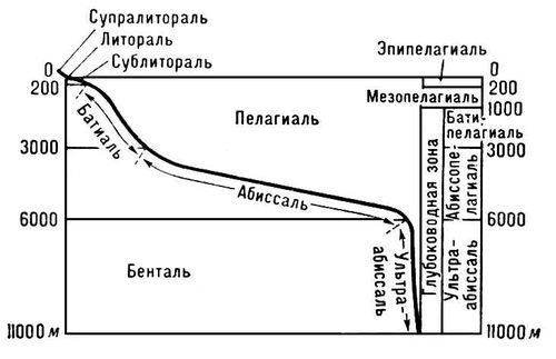 Большая Советская Энциклопедия (ОК) i009-001-222320833.jpg