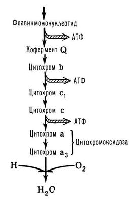 Большая Советская Энциклопедия (ОК) i009-001-208520027.jpg