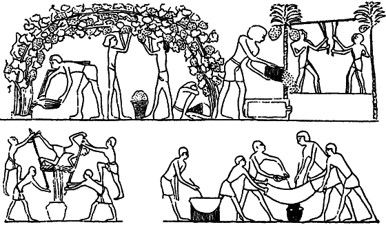 Растения в жизни человека i_056.png